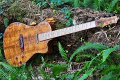 Koa-dcs-log